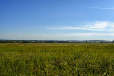 Similar image 22497269