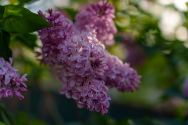 Similar image 22581637