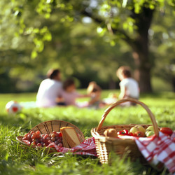 Similar image 22581757