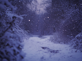 Similar image 22497273