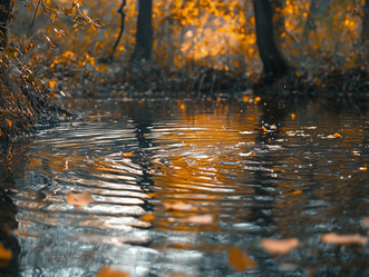 Similar image 22497316