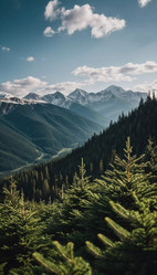 Similar image 22579578