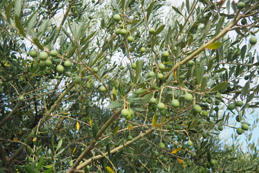 Similar image 22594393