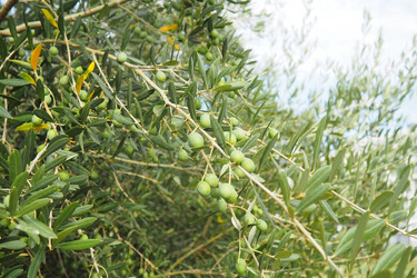 Similar image 22594630