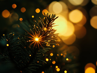 Similar image 22497320