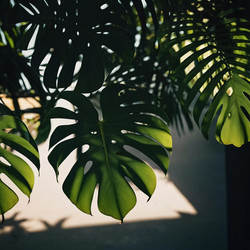 Similar image 22594631