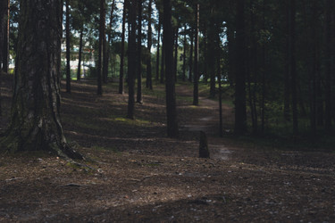 Similar image 22497321