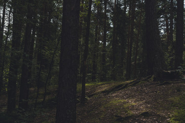 Similar image 22503708