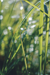 Similar image 22581621