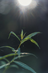 Similar image 22581663