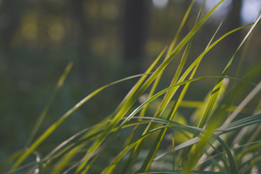 Similar image 22581686