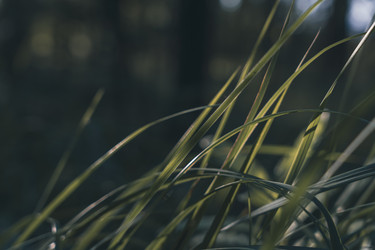 Similar image 22581774