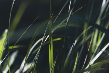 Similar image 22581802