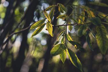 Similar image 22581847