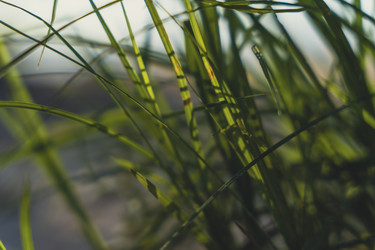 Similar image 22581877