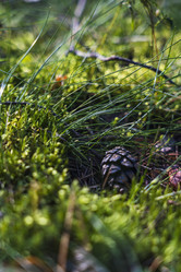 Similar image 22503709