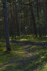 Similar image 22581729