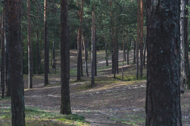 Similar image 22581803