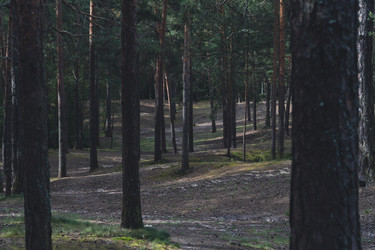 Similar image 22581848