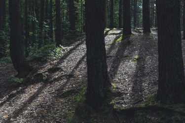 Similar image 22581922