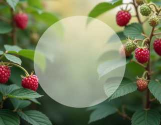 Similar image 22554177