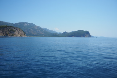 Similar image 22585081