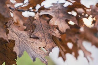 Similar image 22497307