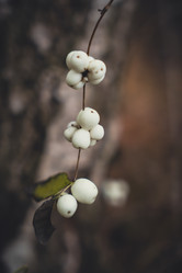 Similar image 22581669