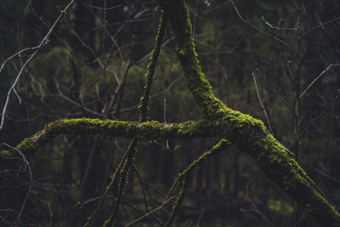 Similar image 22581833