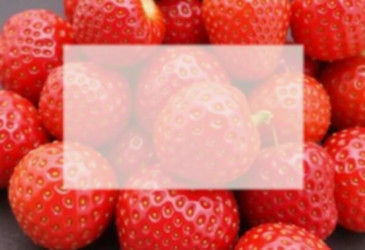 Similar image 22580017