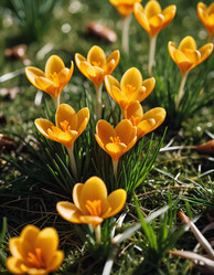 Similar image 22579655