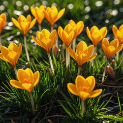 Similar image 22579775