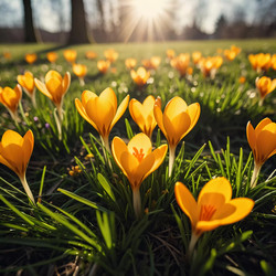 Similar image 22585117