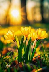 Similar image 22594213