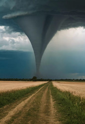 Similar image 22580002