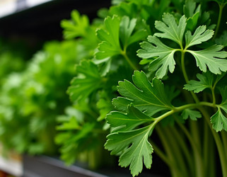 Similar image 22579778