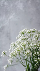 Similar image 22579538