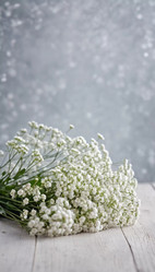 Similar image 22594232