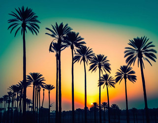 Similar image 22579914