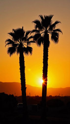 Similar image 22585135