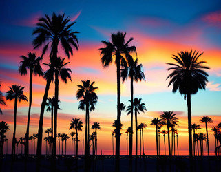 Similar image 22594233