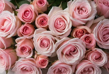 Similar image 22579672