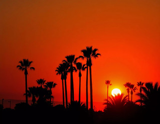 Similar image 22579793