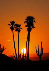 Similar image 22579915