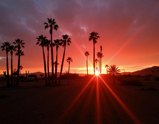 Similar image 22585136