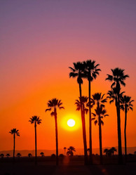 Similar image 22594234