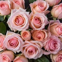 Similar image 22594365