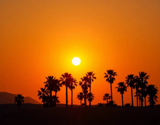 Similar image 22594488