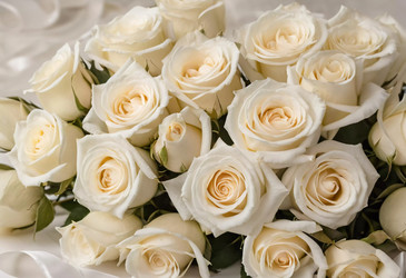 Similar image 22579795