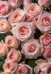 Similar image 22579926